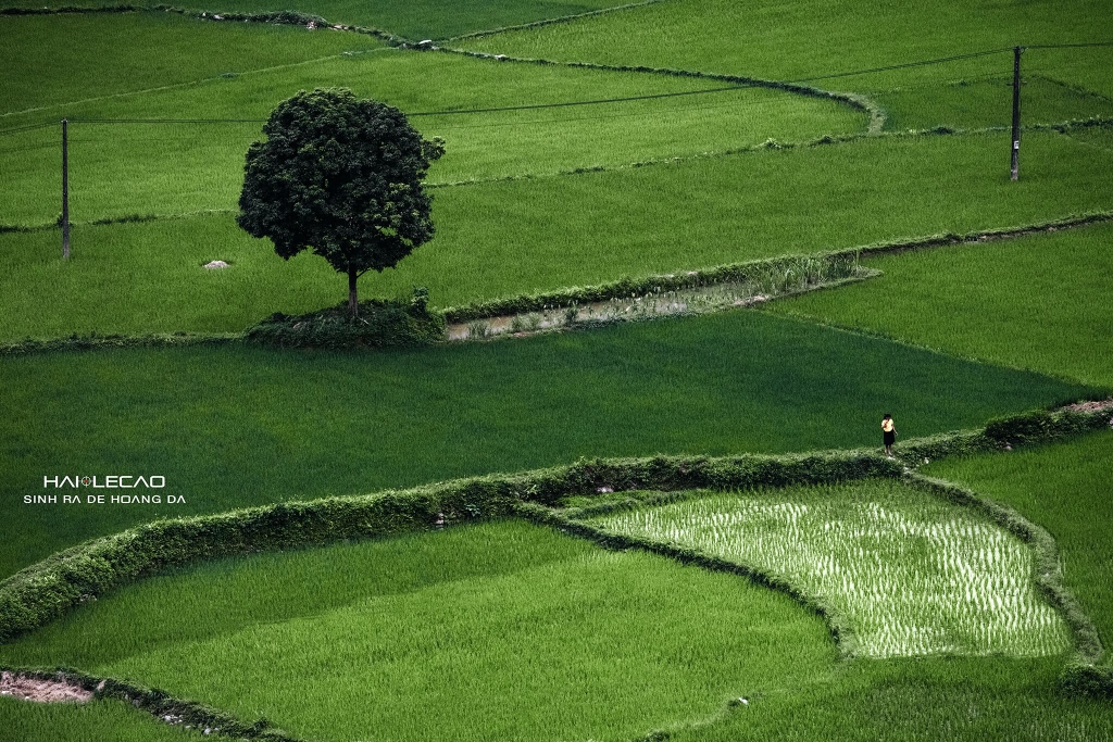 Hà Giang