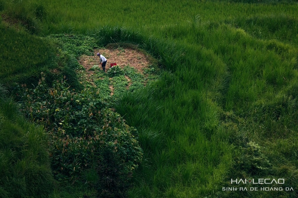 Hà Giang