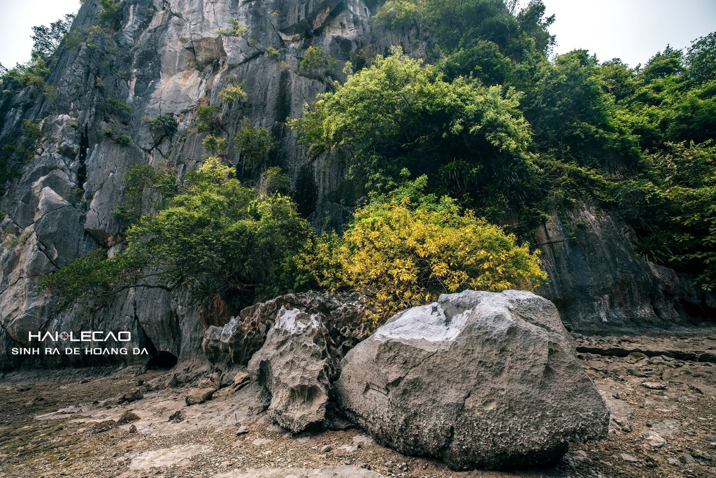 Cát Bà/ Hải Phòng