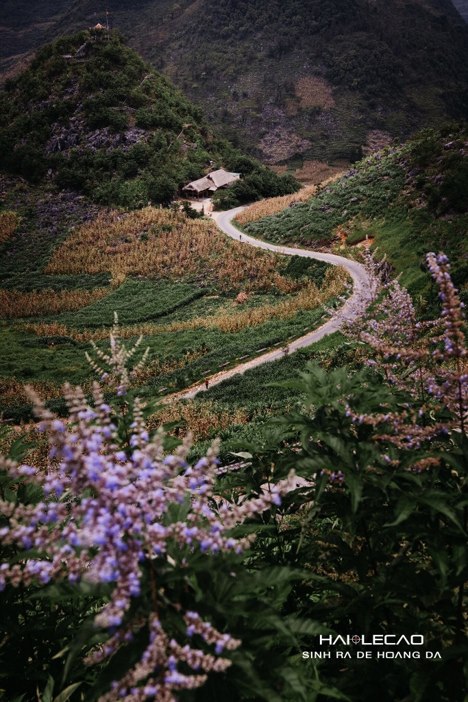 Hà Giang