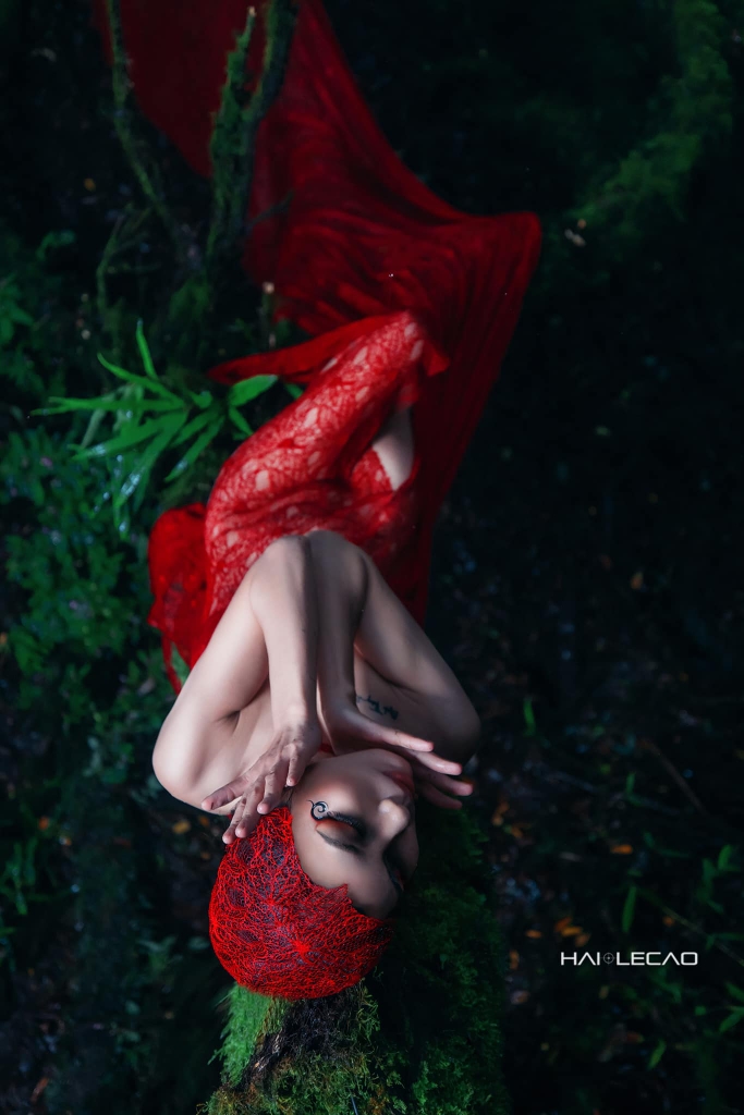 Rừng Hoang Vu/ Hà Giang