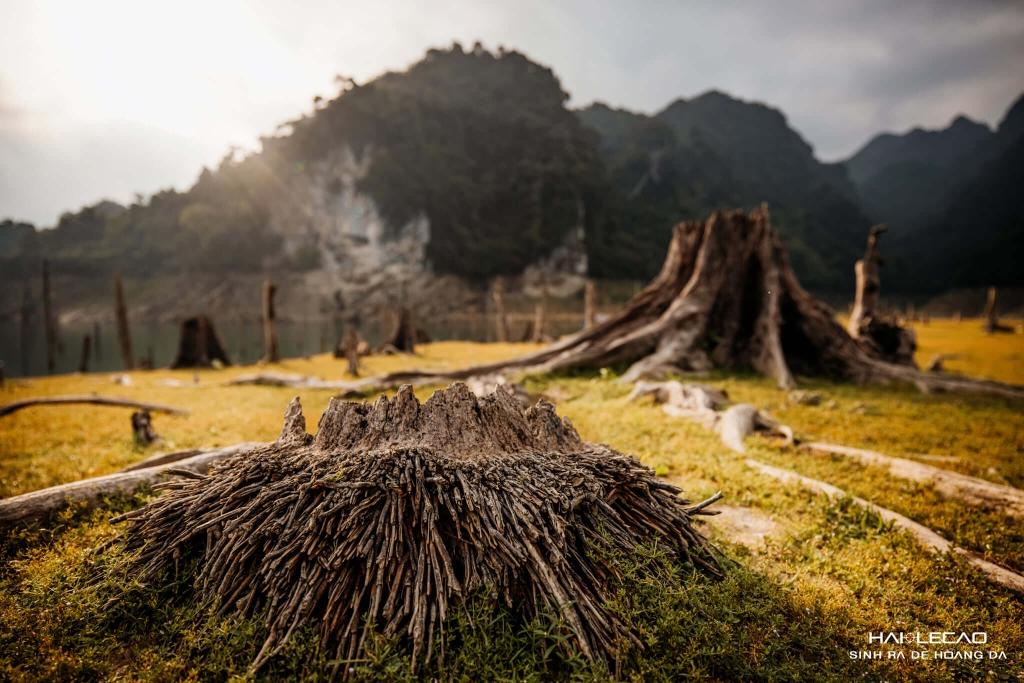 NaHang/TuyenQuang