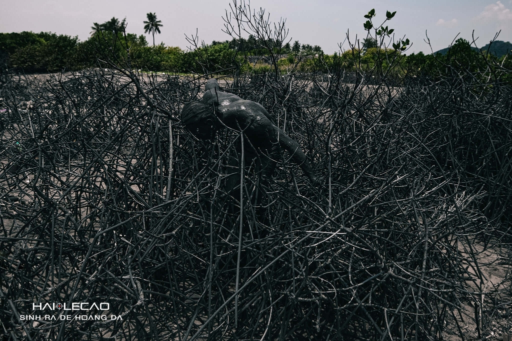 Cát Bà/ Hải Phòng