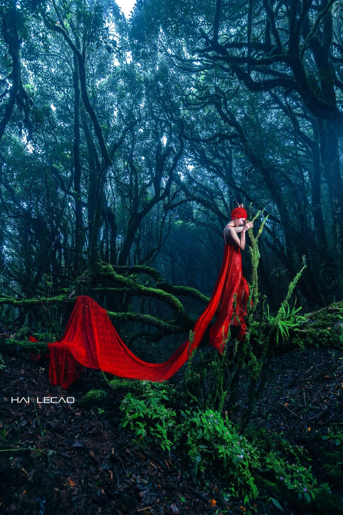 Rừng Hoang Vu/ Hà Giang