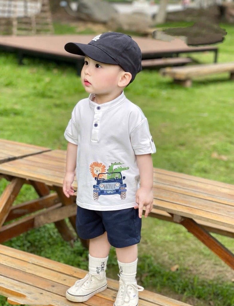 SET CỘC TAY HOẠ TIẾT Ô TÔ ĐỘNG VẬT BÉ TRAI SẴN( xả 69k )
