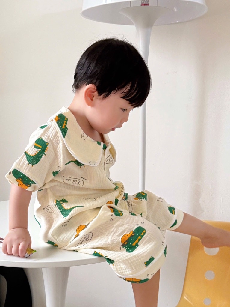 SET BỘ XÔ MUSLIN HOẠ TIẾT KHỦNG LONG BÉ TRAI