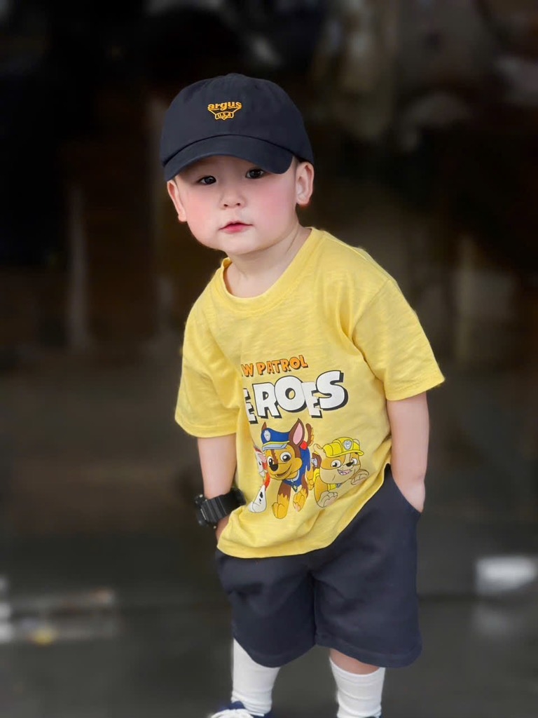COMBO 3 ÁO HOẠT HÌNH CAR SPIDER PAW PATROL BÉ TRAI SẴN(xả 69k)