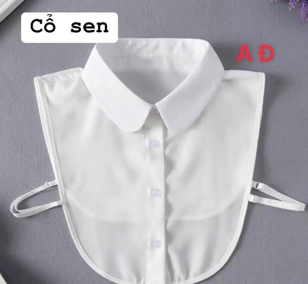 COMBO 2 CỔ ÁO NỮ