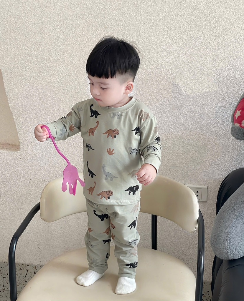 SET 3 BỘ DÀI KHỦNG LONG BÉ TRAI SẴN