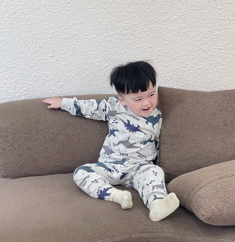 SET 3 BỘ DÀI TAY KHỦNG LONG BÉ TRAI