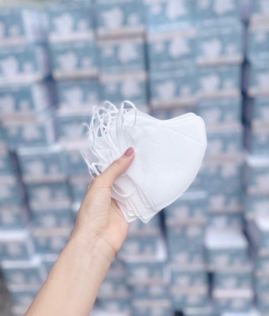 ĐỒ GIA DỤNG 3 HỘP K.T LOKA 5D MIX MÀU