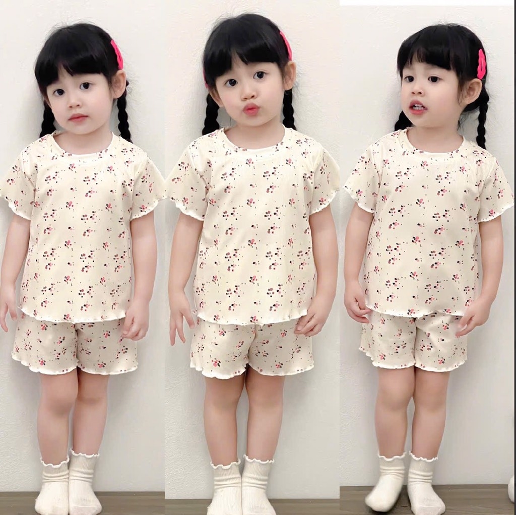 SET 3 BỘ HOA NHÍ HỒNG XANH TRẮNG BÉ GÁI(XẢ 139k)