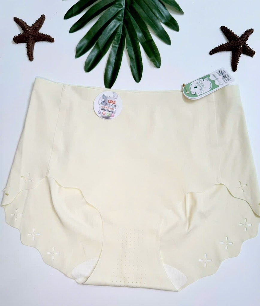 ĐỒ LÓT - SET 4 QUẦN CHIP ĐÚC SU NỮ