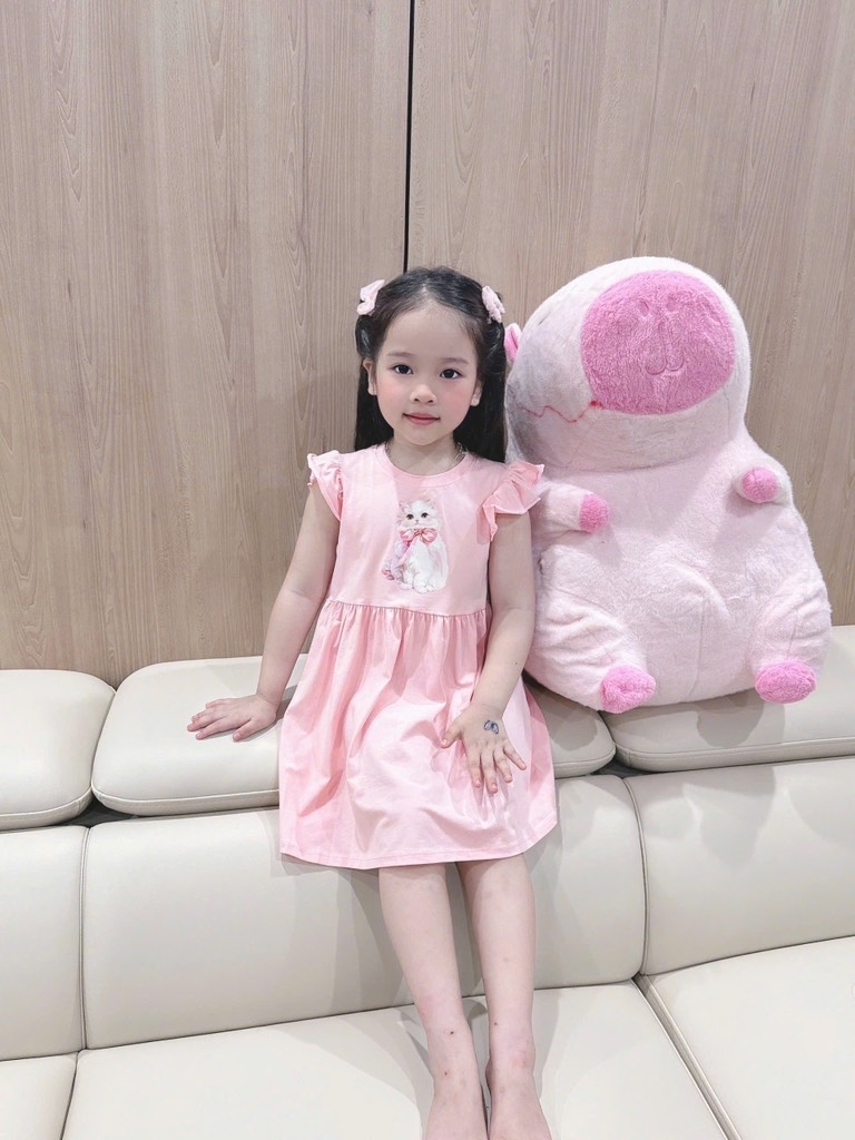 SET 2 VÁY CÁNH TIÊN MÈO HOA NHÍ BÉ GÁI(XẢ 89k)