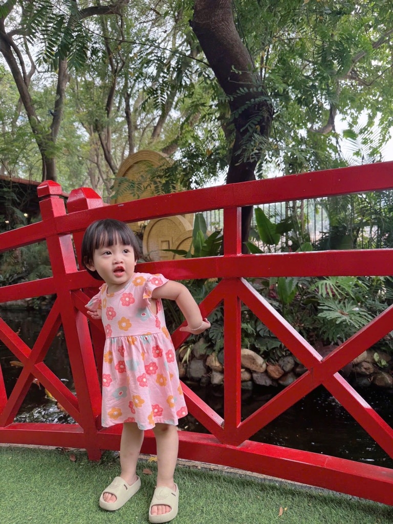 SET 2 VÁY BƯỚM HOA CÁNH TIÊN BÉ GÁI SẴN