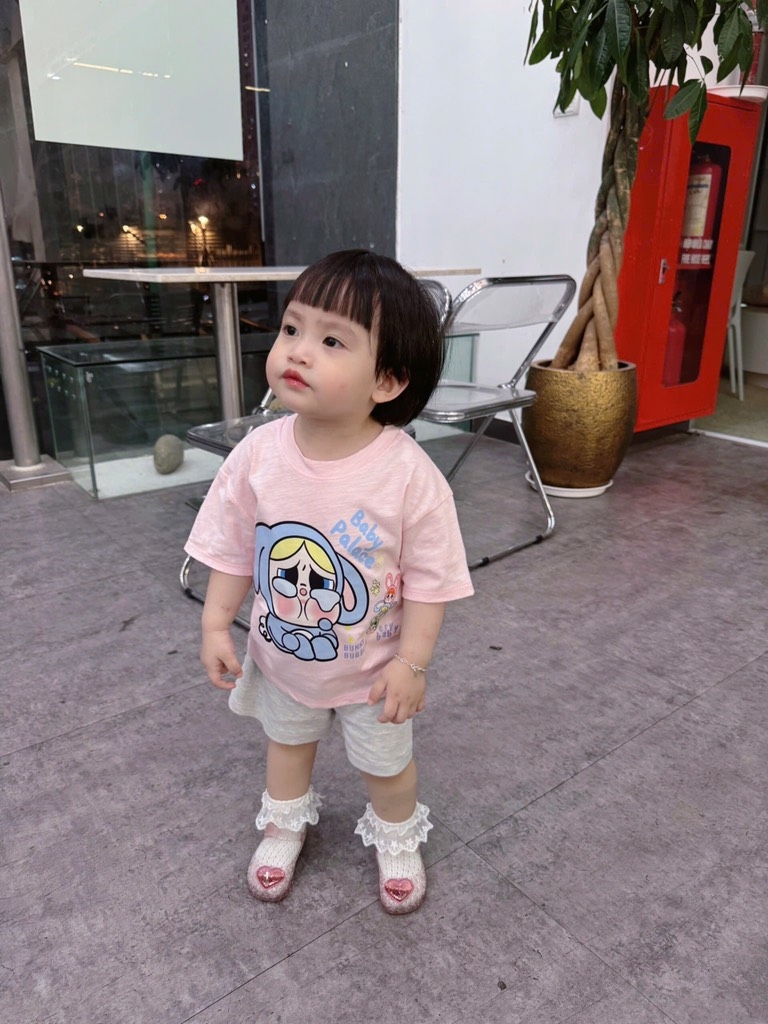 SÉT 4 ÁO CỘC TAY COTTON XƯỢC BB3 BÉ GÁI SẴN