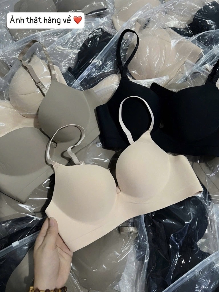 SET 3 ÁO LÓT MIX MÀU NỮ ĐỆM NGỰC