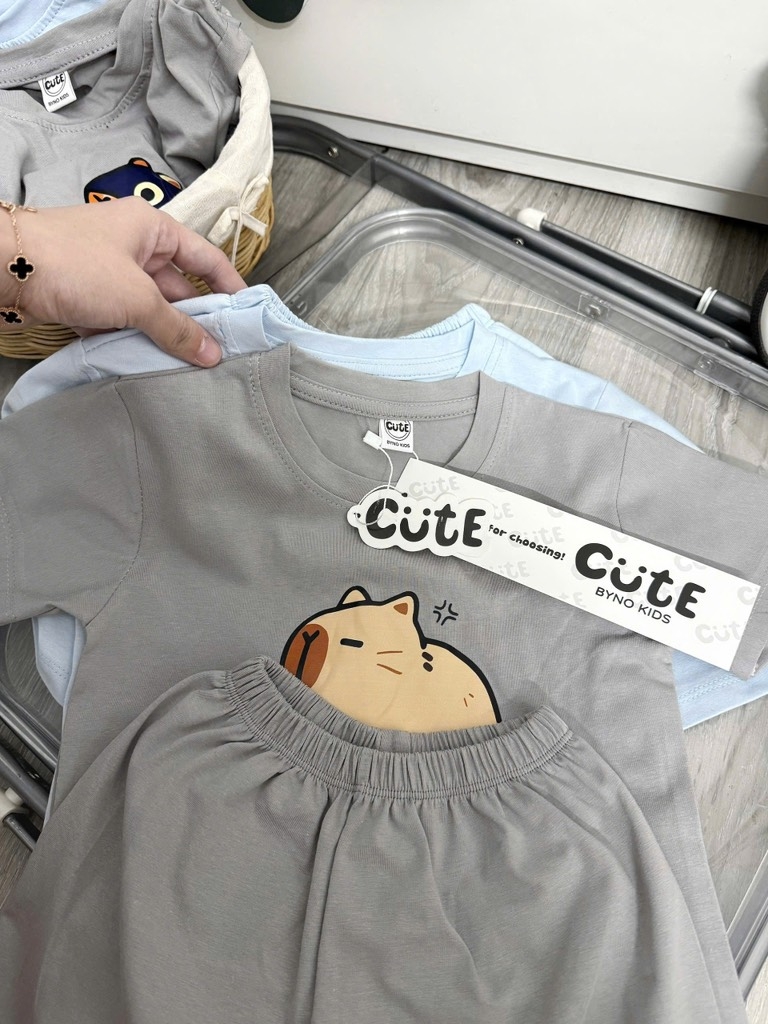 SET 2B CAPY XANH XÁM BÉ TRAI (SALE 77k)