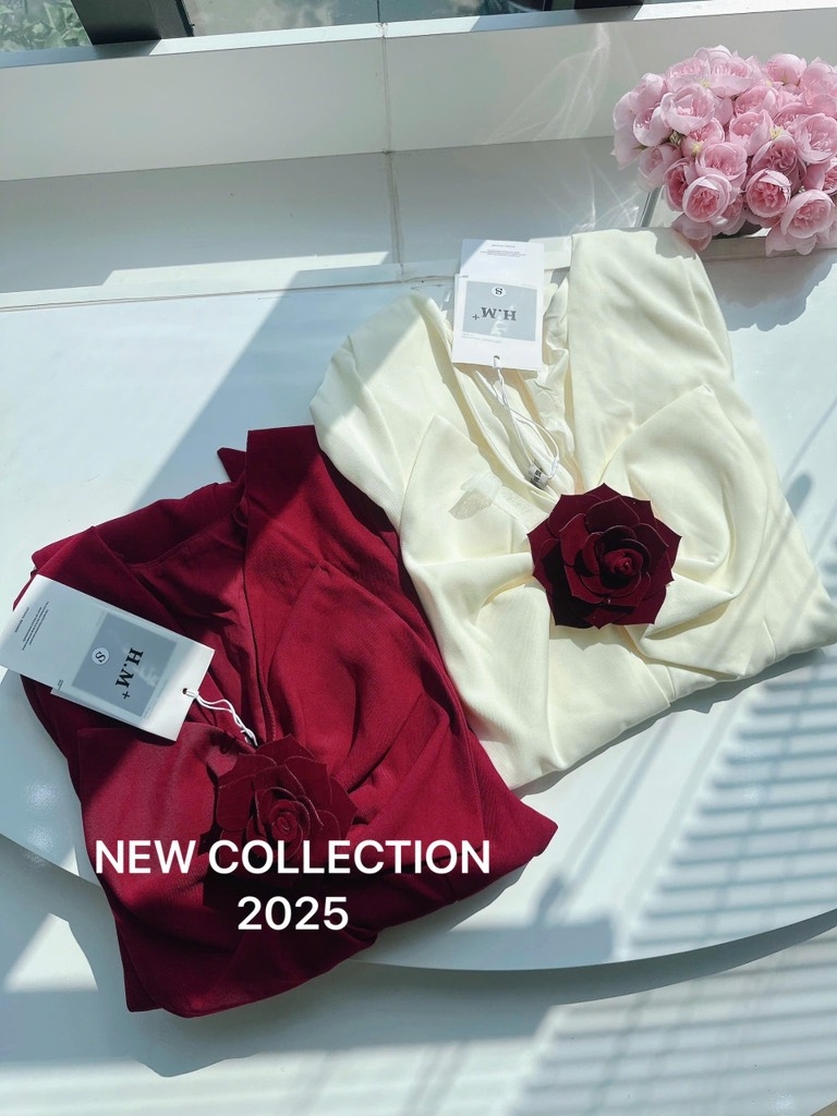 VÁY NƠ ĐÍNH HOA DÁNG DÀI 2 LỚP NỮ