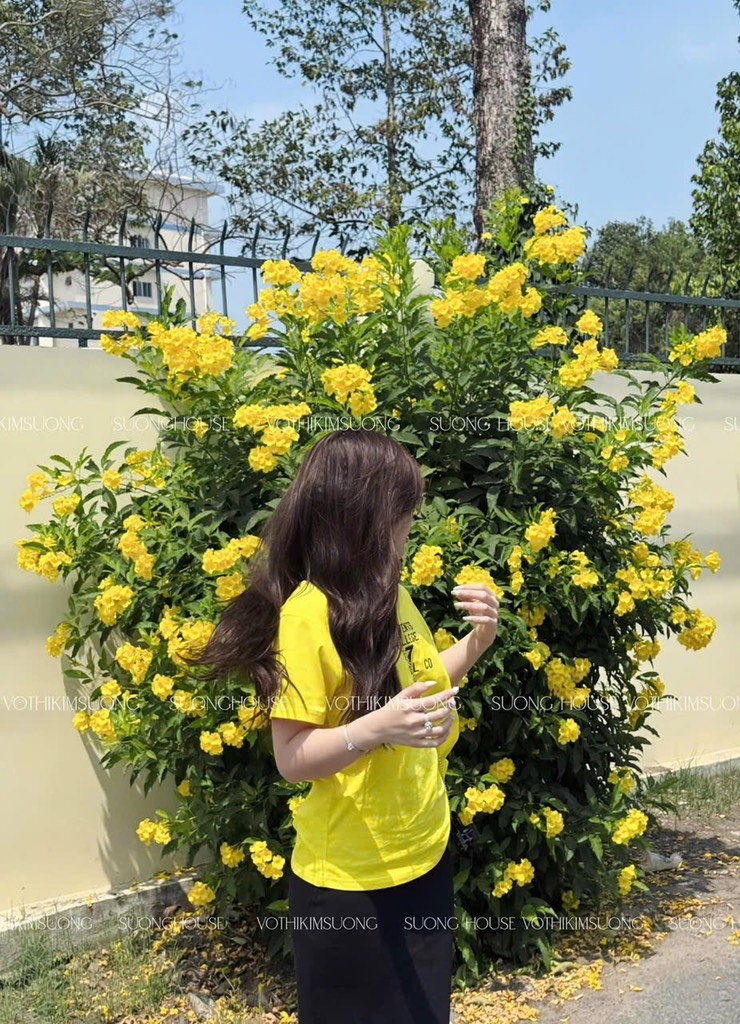 SET ÁO THÊU KÈM CHÂN VÁY ZIP CHO NỮ (Xả 94k)
