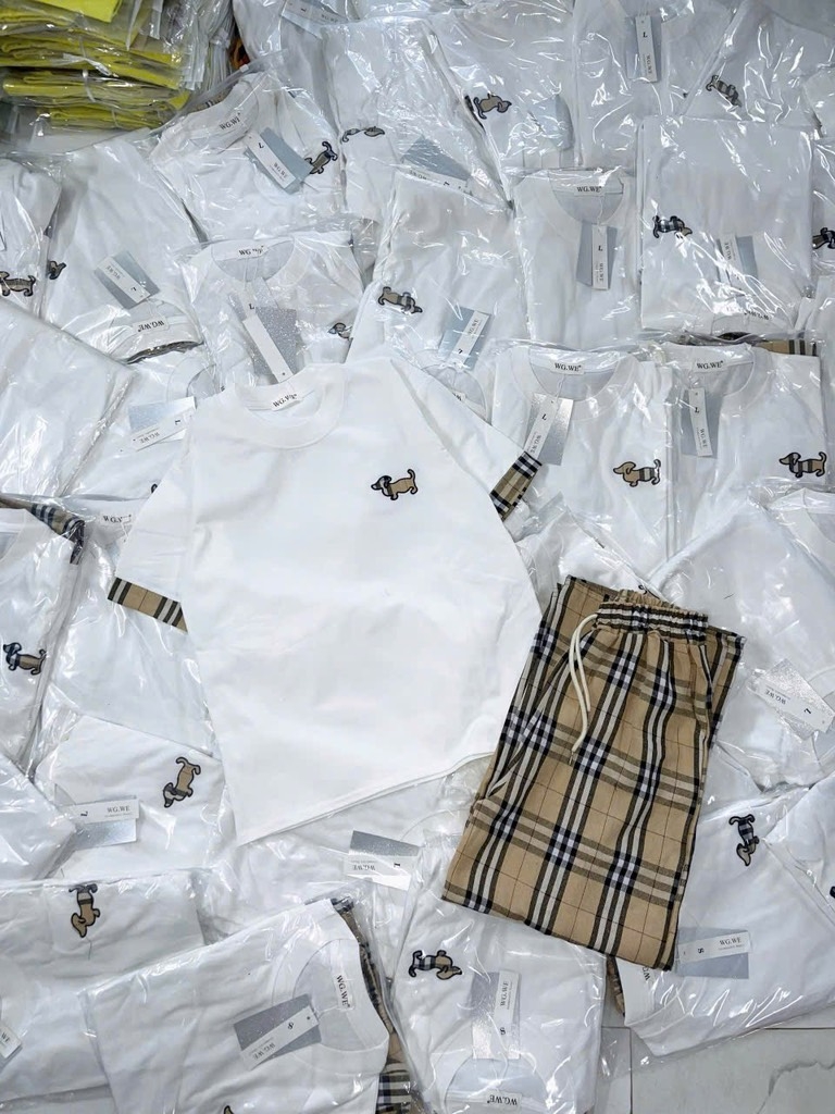 SET ÁO TRẮNG THÊU CHÓ QUẦN KẺ BBR NỮ