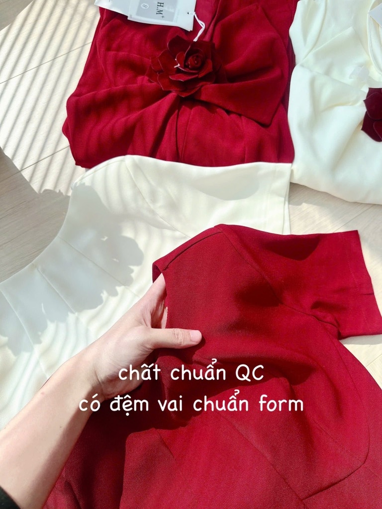 VÁY NƠ ĐÍNH HOA DÁNG DÀI 2 LỚP NỮ
