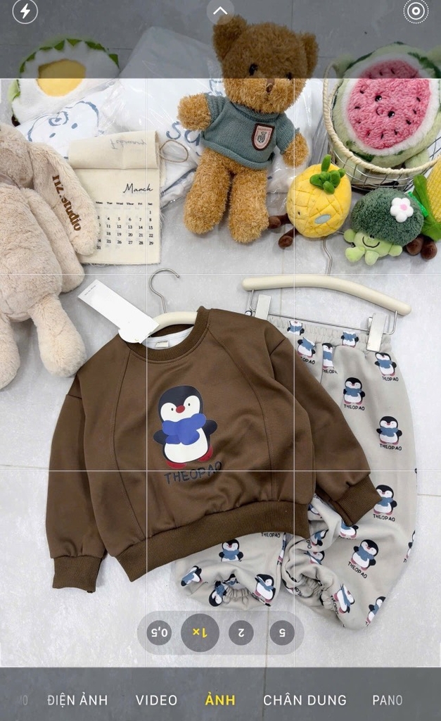 BỘ NỈ CHIM CÁNH CỤT BÉ TRAI
