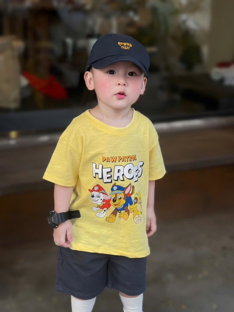 COMBO 3 ÁO HOẠT HÌNH CAR SPIDER PAW PATROL BÉ TRAI SẴN(xả 69k)