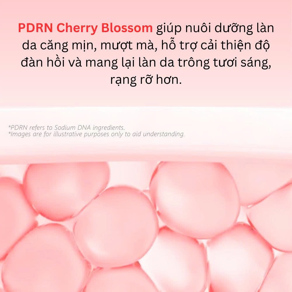 Combo serum và kem dạng thạch PDRN Hoa anh đào MIINSKIN