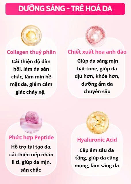 Combo serum và kem dạng thạch PDRN Hoa anh đào MIINSKIN
