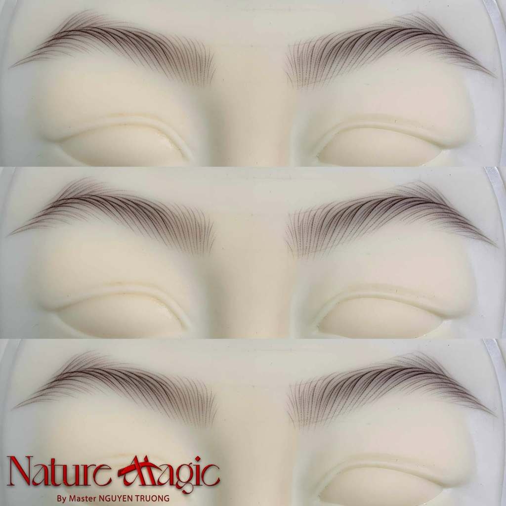 Mực Tập Phun Xăm Promagic - Mực Học Chuyên Phun Hoặc Sợi Master Nguyên Trường