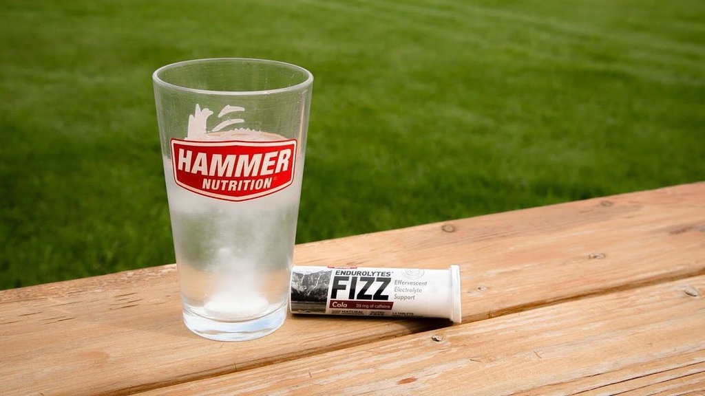 Viên Sủi Điện Giải Hammer Nutrition Endurolytes Fizz 13 Viên - Lemon Lime