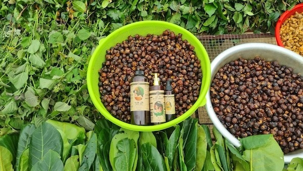 Các nguyên liệu tự nhiên phục vụ sản xuất tại HTX Minh Anh