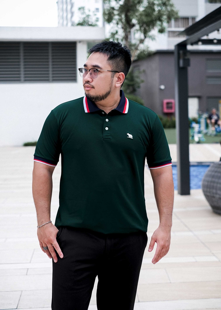 Áo Polo Bigsize Màu Xanh rêu Thêu Gấu Phối cổ 3 màu
