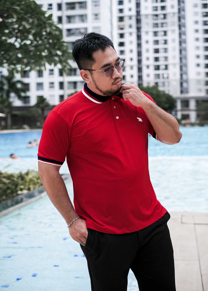 Áo Polo Bigsize Màu Đỏ Thêu Gấu Phối cổ 3 màu