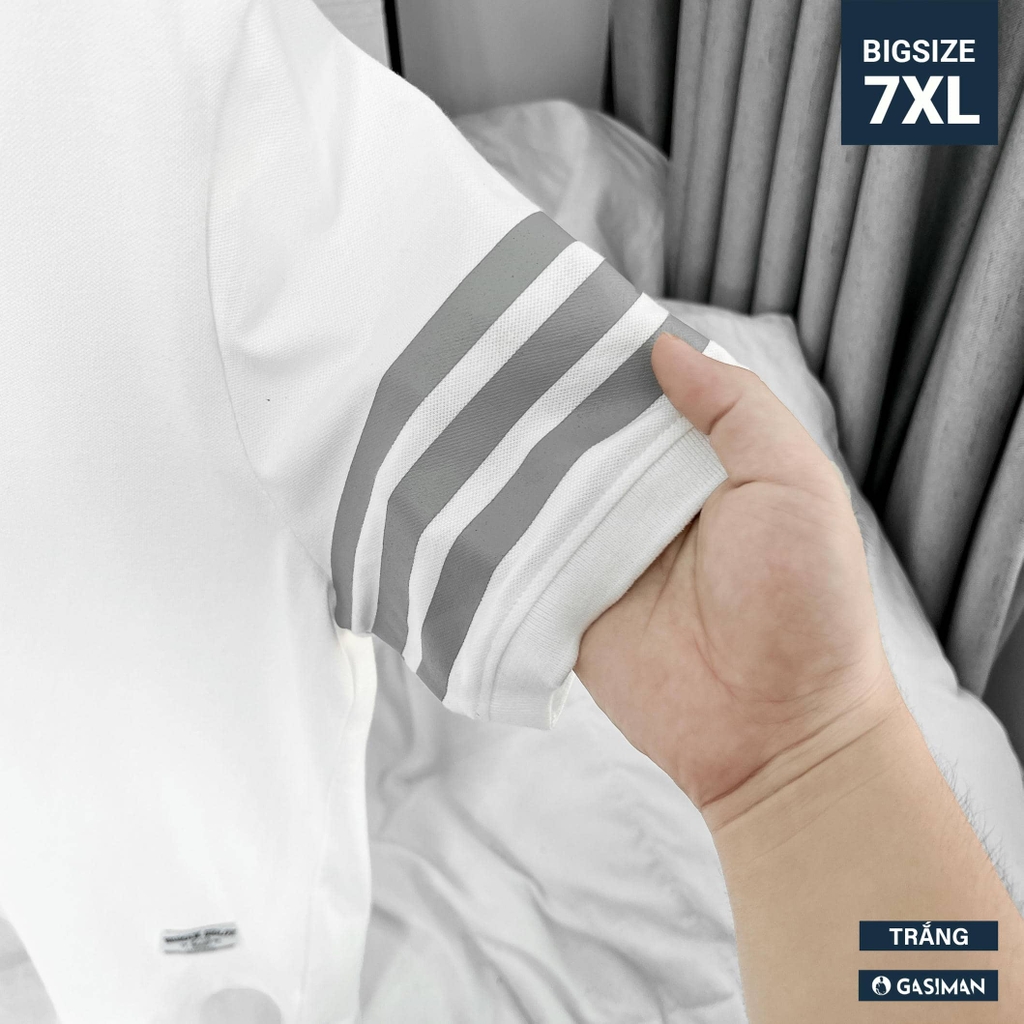 Áo Polo Bigsize 3 Sọc ngay tay Màu Trắng