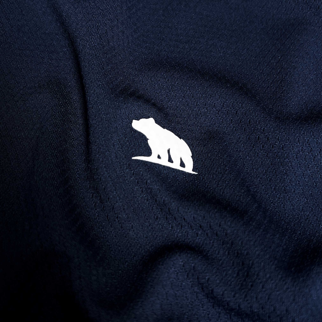 Polo Bigsize Thể Thao Xanh Đen Trụ viền