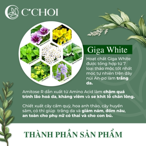 Combo phấn nước + lõi C'Choi Herbal DD Cushion