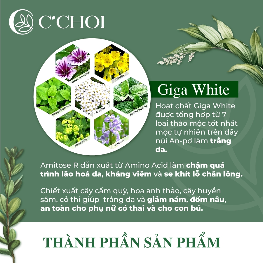 Lõi phấn nước C'Choi Herbal DD Cushion