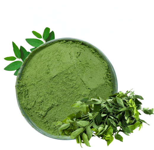 Bột rau ngót