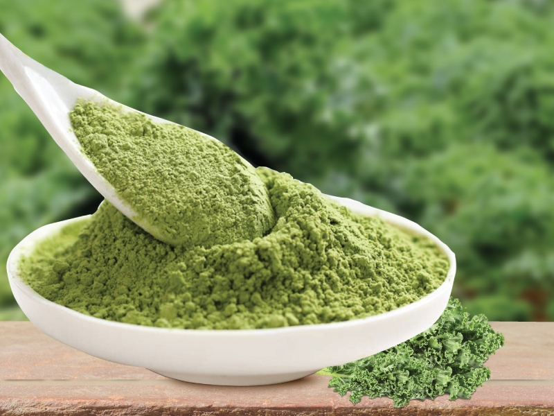 Bột cải kale