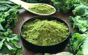 Bột cải kale