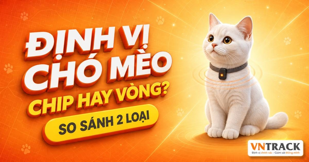 Xu hướng sử dụng vòng và chip định vị chó mèo hiệu quả, chính xác nhất