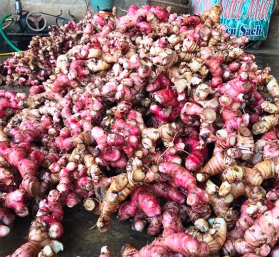 Củ riềng