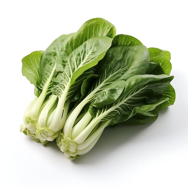 Cải Chíp (SPOON CABBAGE)