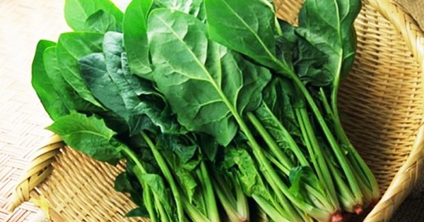 Cải bó xôi