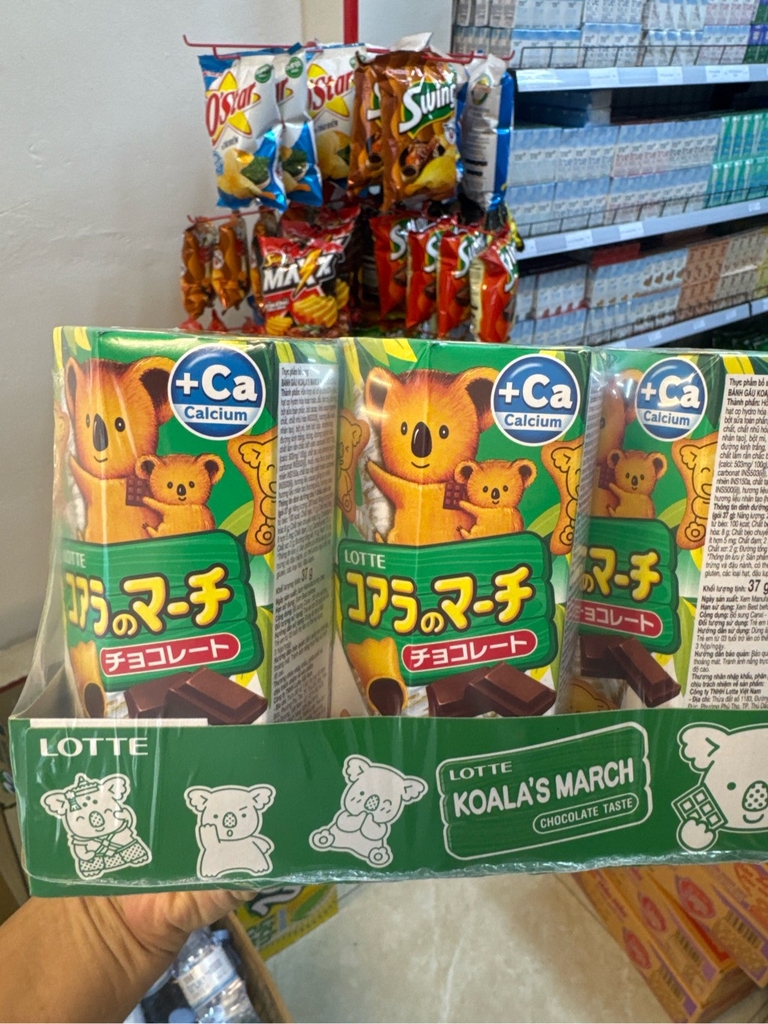 Bánh gấu Koala 37g