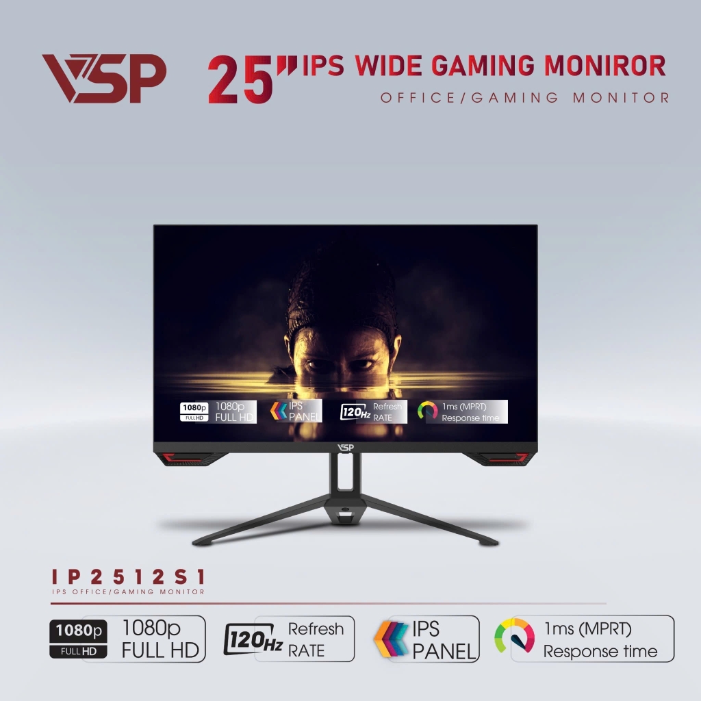 LCD VSP IP 2512S1 - 25 inch (VGA/HDMI) - 120Hz
