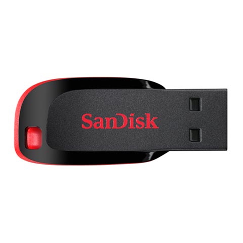 USB Sandisk 4GB