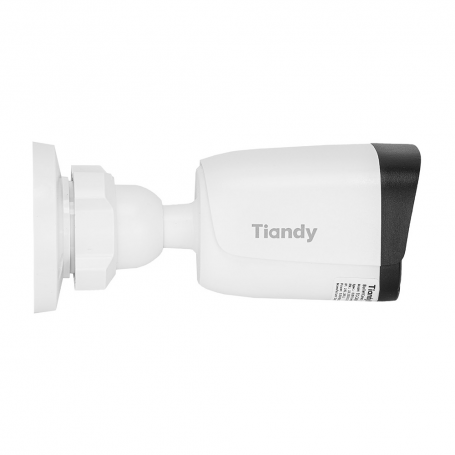 Camera IP TIANDY TC-C321N V2.0